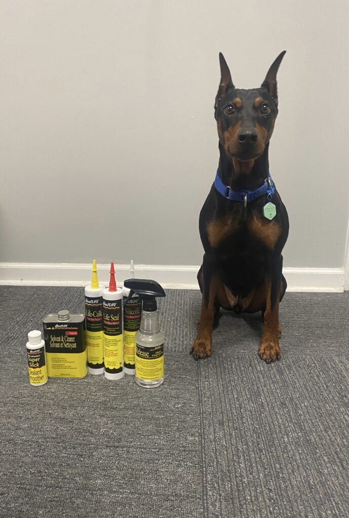 Schmitty the office dog with BoatLIFE products
